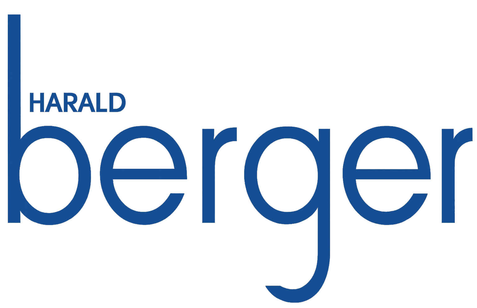 Harald Berger Gas-Wasser-Heizung GmbH & Co KG